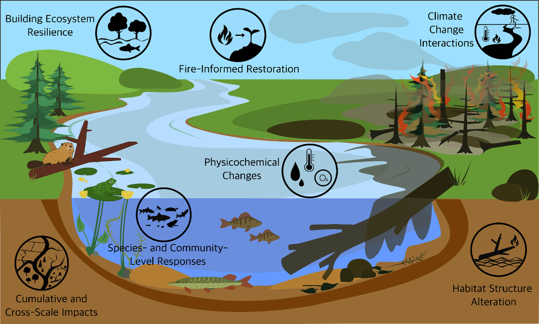 Graphical abstract: integration of fire ecology and freshwater ecosystems