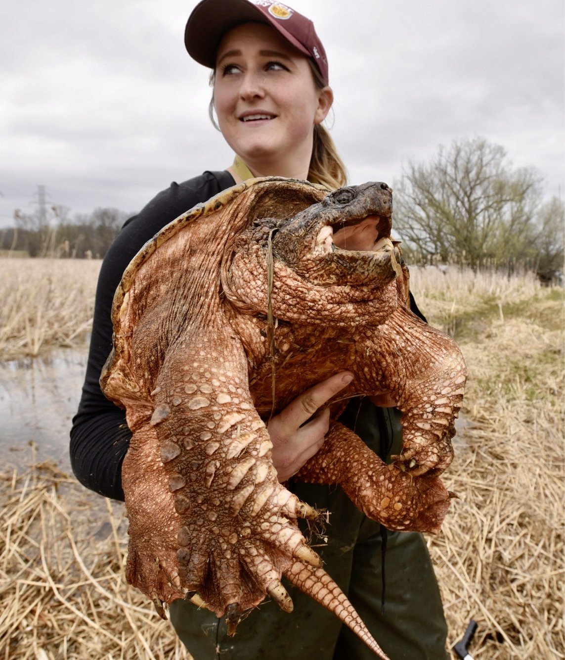 Morgan holding a snapping turtle in the field